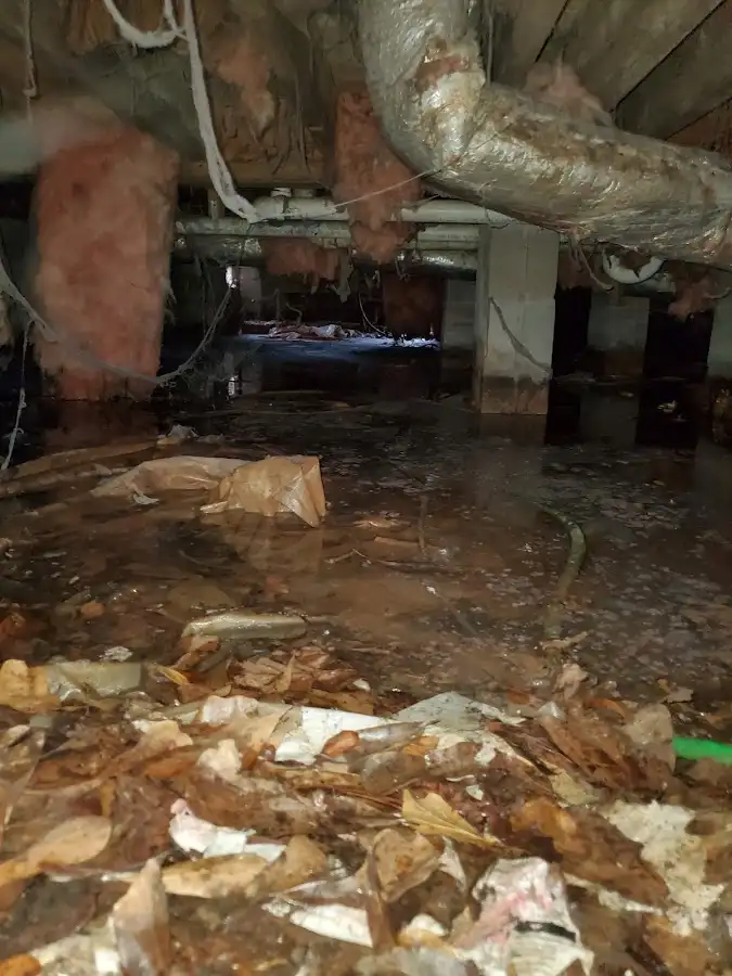 Crawl space flood assessment for Commercial Water Damage Restoration in Herrin