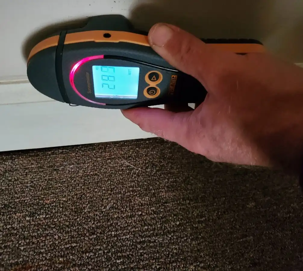 Moisture detection at baseboard during Burst Pipe Cleanup in Herrin